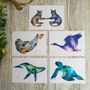 May include: Set of five watercolor prints featuring galaxy-themed animals. The prints depict a seal, a goose, a whale, a turtle, and two cats. Each print has a white background and a black border.