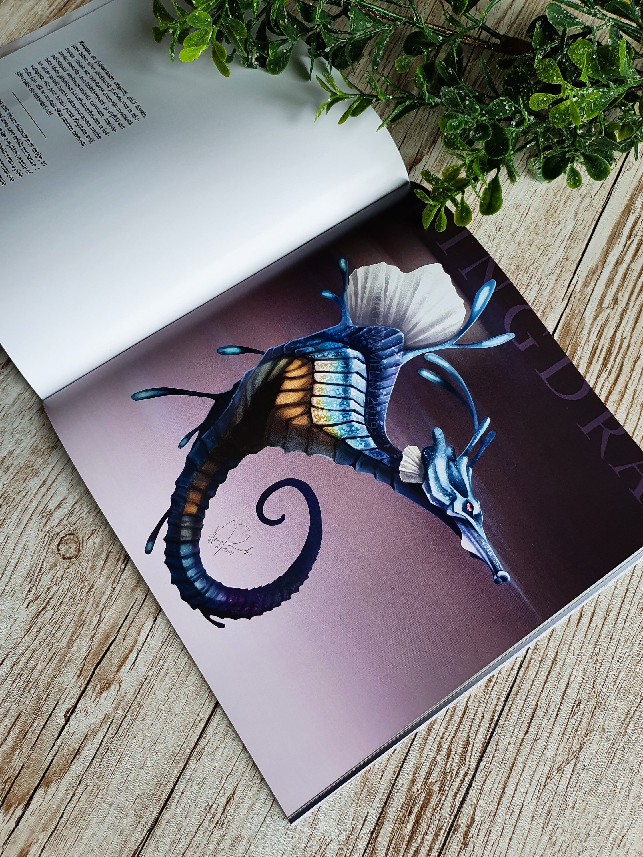 Pokémon Reimagined 3 Art Book Etsy