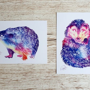Galactic Hedgehog Postcard Prints