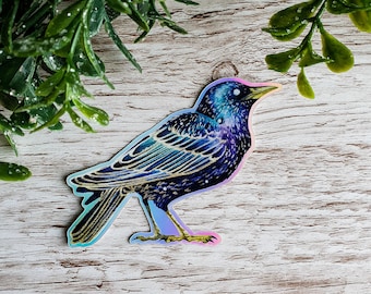 Starling Rainbow Holographic Vinyl Sticker