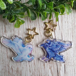 Galactic Birds, Raven, Owl Acrylic Keychain, Glitter Charm