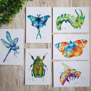 Divers tirages de cartes postales d'insectes galactiques