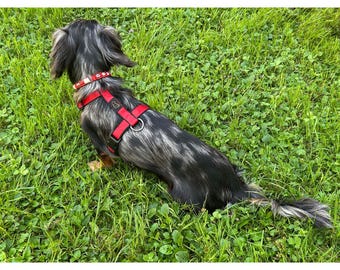 Unicolor Dog Harness, Dog Harness, Small Dog Harness