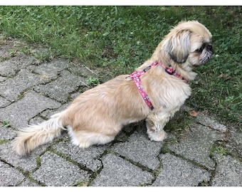 Dog Harness, Adjustable Dog Harness, Small Dogs Harness