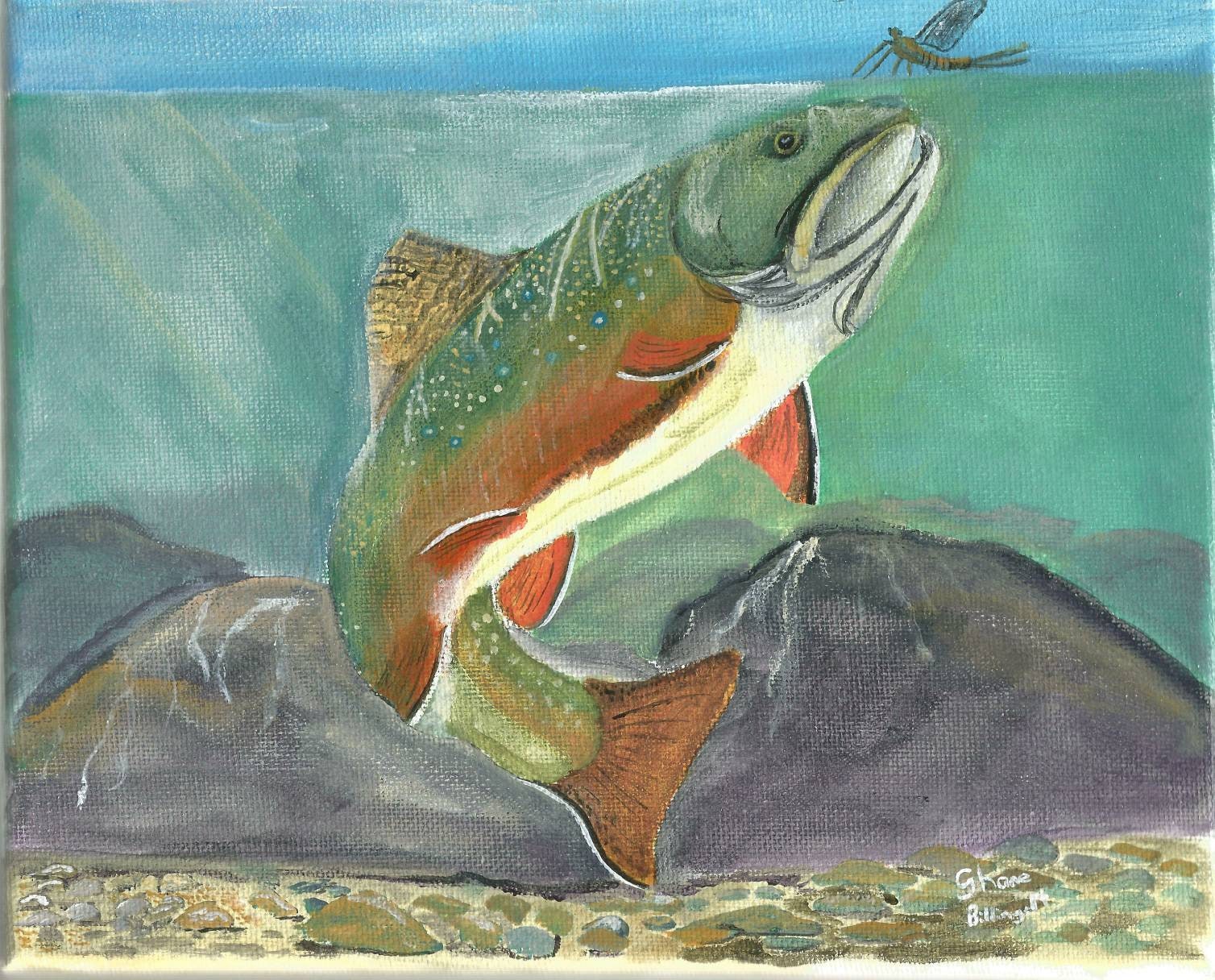 Brook Trout Rising Etsy