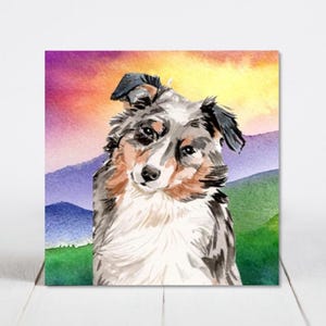 May include: Watercolor painting of an Australian Shepherd dog with a colorful sunset and mountain backdrop. The dog has a mix of gray, brown, and white fur. The background features purple, green, and yellow hues.
