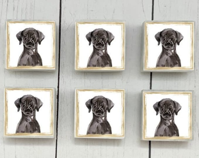 Black Lab Marble Dog Magnets, 6-12 Black Lab Magnets, Black Lab Refrigerator Magnets, Black Lab Gift, Black Lab Dog Magnets