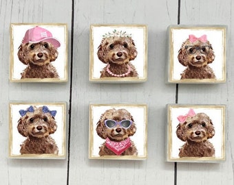 Cockapoo Apricot Dog Fridge Magnet Keyring Novelty Gift Cockapoo Apricot Dog Fridge Magnet Keyring Novelty Gift