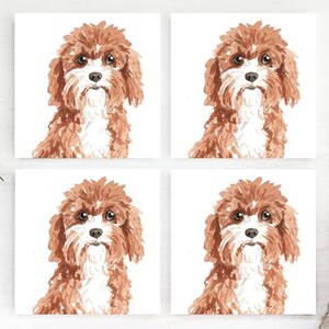 May include: Four square watercolor prints of a fluffy, brown and white dog with a sweet expression. The dog's fur is detailed with brushstrokes. The prints are arranged on a white background, with eucalyptus and dried grass accents.