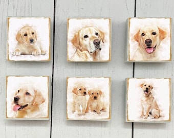 6 Labrador Retriever Marble Magnets, Labrador Retriever Magnet Gift, Lab Retriever Magnets, Yellow Lab Magnet Set