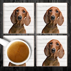 Dachshund Coasters, Dachshund Coaster Set, Dachshund Drink Coasters, Dachshund Owner Gift