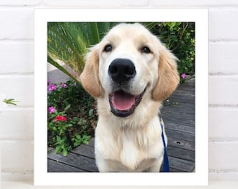Framed Pet Photo on Metal Panel, Framed Photo Sign, Photo Decor, Photo Gift, Dog Photo in Wood Frame, Cat Photo Framed, Dog Lover Gift Idea