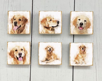 6 Golden Retriever Marble Magnets, Golden Retriever Magnet Gift, Golden Retriever Magnets, Dog Magnet Set