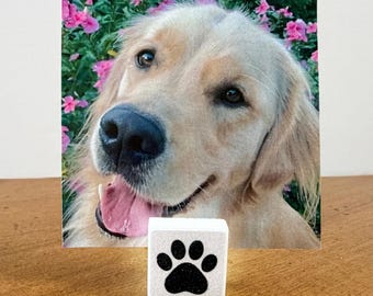 Pet Photo Holder, Paw Print Picture Holder, Interactive Pet Keepsake Option, Dog Memorial Gift, Adoption Gift