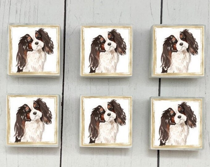 Cavalier King Charles Spaniel Marble Dog Magnets, 6-12 Cavalier King Charles Spaniel Magnets, Cavalier King Charles Spaniel Gift