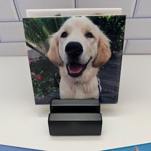 May include: A square photo tile featuring a smiling golden retriever puppy. The tile is displayed in a black, two-tiered stand. The background of the photo shows a wooden deck and greenery.