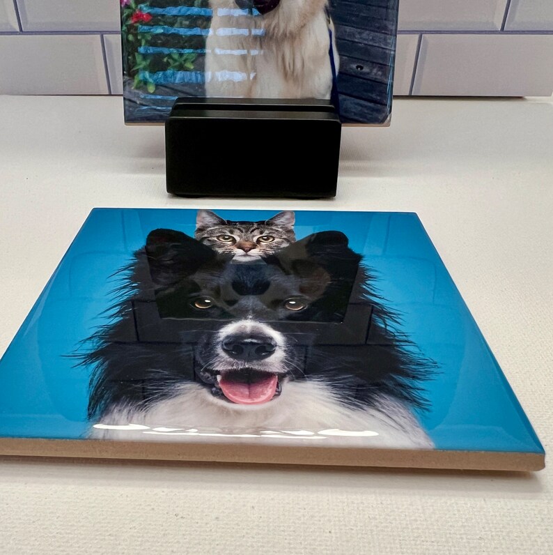 May include: A ceramic tile featuring a dog with a cat on its head, set against a blue background. The dog is black and white, with its tongue out. A black rectangular object sits behind the tile. Another tile with a dog image is in the background.