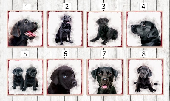 Labrador coasters cheap