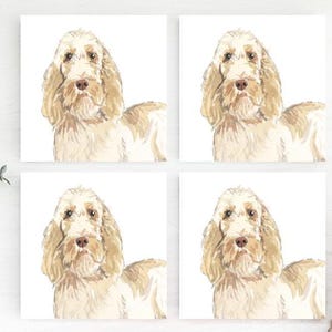 Spinone Italiano Coasters, Spinone Italiano Coaster Set,  Spinone Italiano Coaster Set, Spinone Italiano Drink Coasters