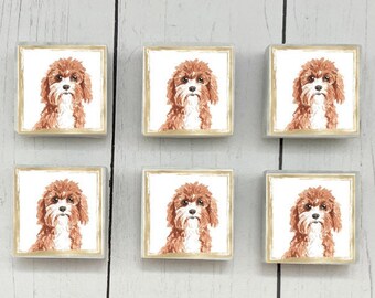 Cavapoo Marble Dog Magnets, 6-12 Cavapoo Magnets, Cavapoo Refrigerator Magnets, Cavapoo Gift, Cavapoo Dog Magnets, Dog Tile Magnets