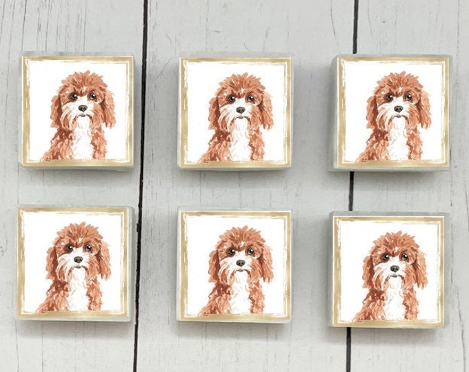 Cavapoo Marble Dog Magnets, 6-12 Cavapoo Magnets, Cavapoo Refrigerator Magnets, Cavapoo Gift, Cavapoo Dog Magnets, Dog Tile Magnets