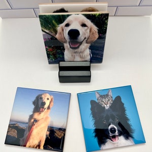 May include: Square ceramic coasters featuring photos of dogs and a cat. One coaster shows a golden retriever at the beach, another a border collie with a cat on its head, and a third a smiling golden retriever. A black stand holds a coaster.