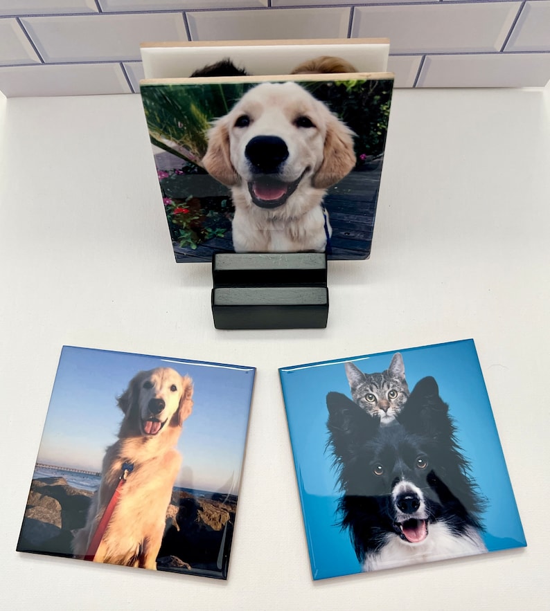 May include: Square ceramic coasters featuring photos of dogs and a cat. One coaster shows a golden retriever at the beach, another a border collie with a cat on its head, and a third a smiling golden retriever. A black stand holds a coaster.
