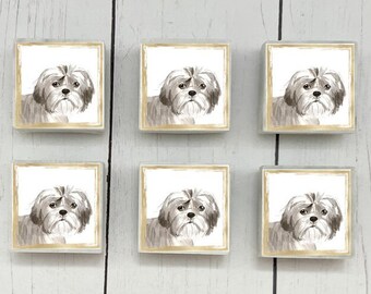 Shih Tzu Marble Dog Magnets, 6-12 Shih Tzu Magnets, Shih Tzu Refrigerator Magnets, Shih Tzu Gift, Shih Tzu Dog Magnets, Dog Tile Magnets