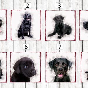 May include: A collection of eight watercolor-style portraits of black Labrador Retrievers. Each image features a different pose, including close-ups of the dogs' faces, full body shots, and puppies. The portraits are set against a white background with a red border.