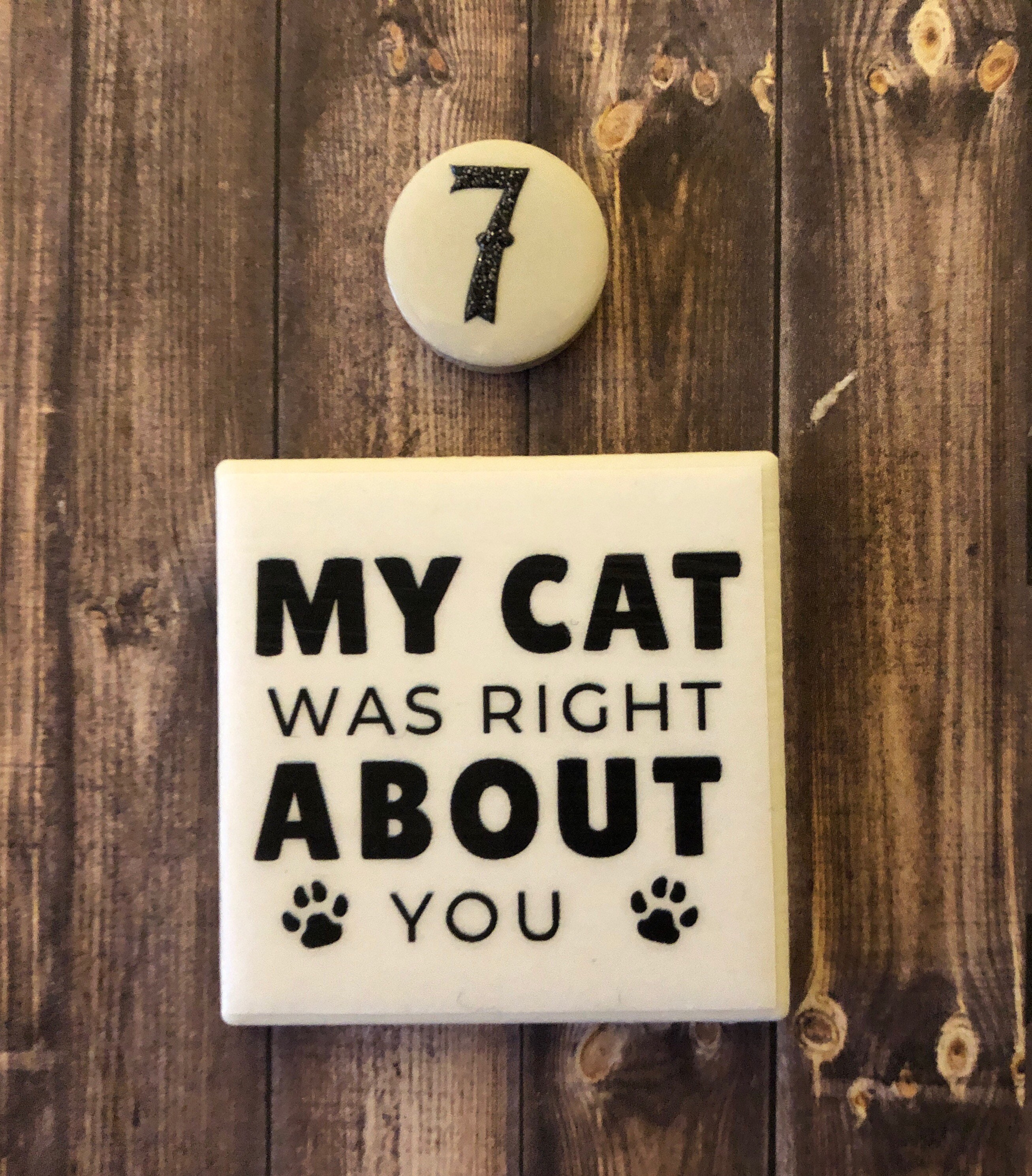 Funny Cat Cat Lover Cat Refrigerator Etsy