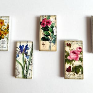 6-12 Floral Magnet Set, Botanical Floral Magnet Set, Floral Magnets, Floral Refrigerator Magnets, Floral Party Favors