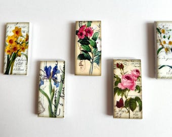 6-12 Floral Magnet Set, Botanical Floral Magnet Set, Floral Magnets, Floral Refrigerator Magnets, Floral Party Favors