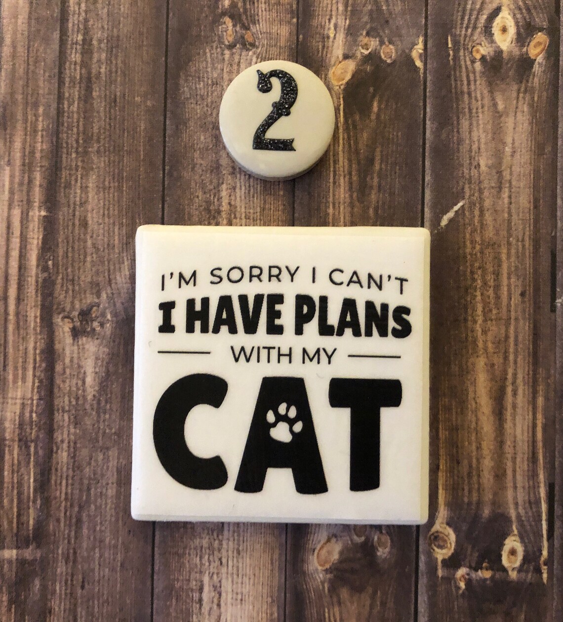 Funny Cat Cat Lover Cat Refrigerator Etsy