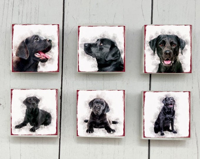 6 Labrador Retriever Magnets, Marble Labrador Retriever Magnets, Labrador Retriever Magnets, Black Lab Dog Magnet Set