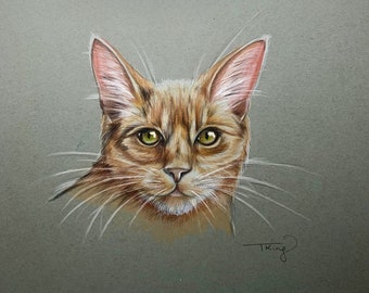 Ginger cat original pencil artwork