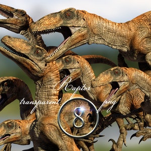 8 Raptor Clipart, Raptor Overlay , Dinosaur Clipart - Etsy