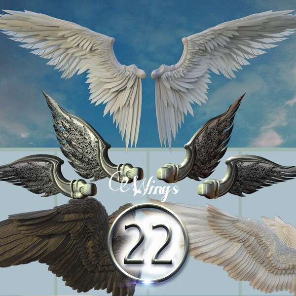 22 Wings PNG, Wings overlays