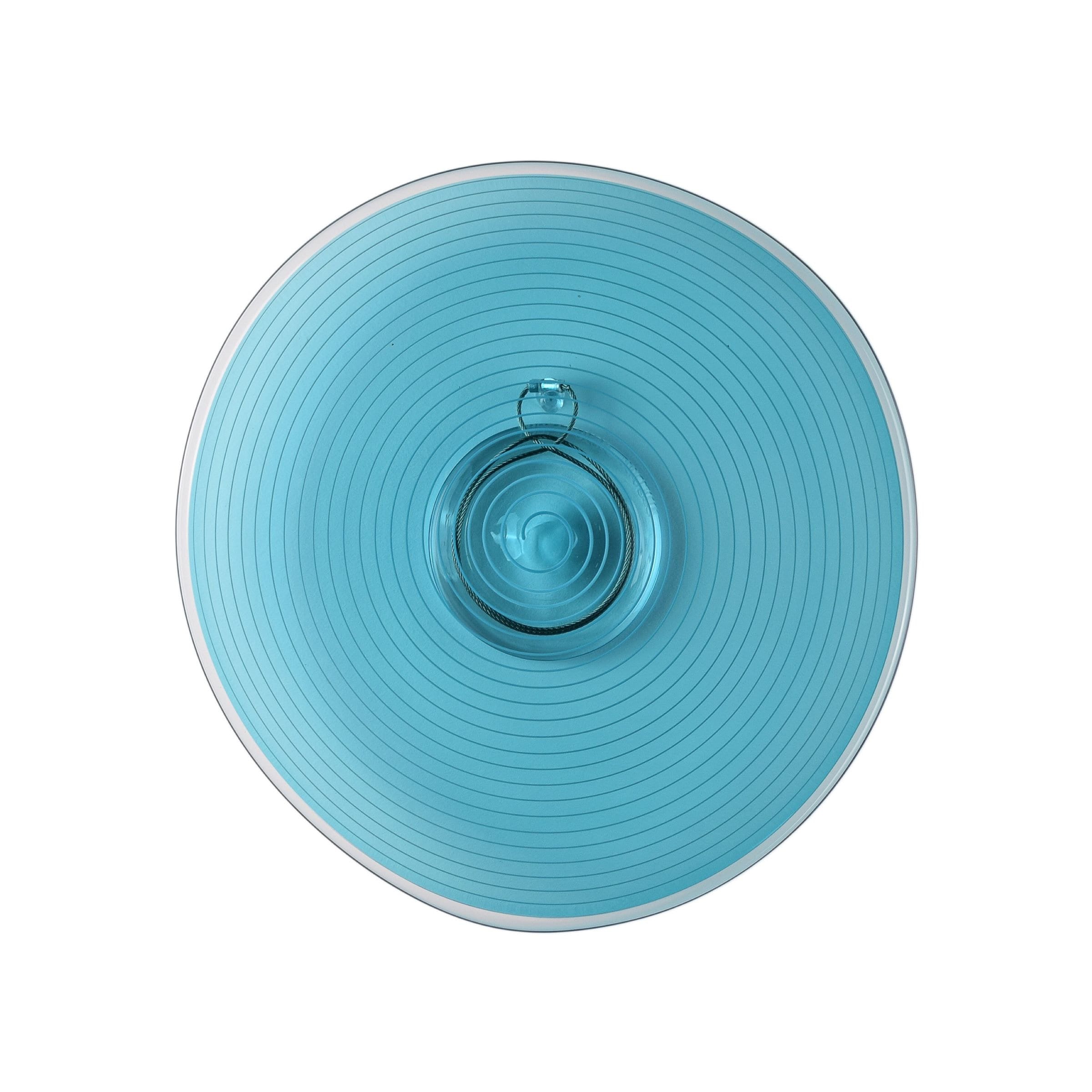 Caribbean Spiral Rondel Blown Glass Wall Art HandBlown Wall Etsy