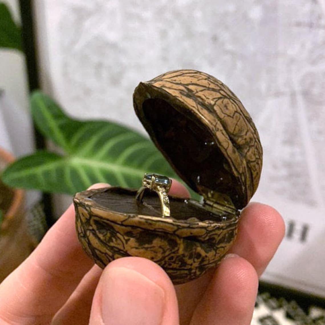 Walnut shell ring box Walnut nut ring box Walnut ring box Etsy