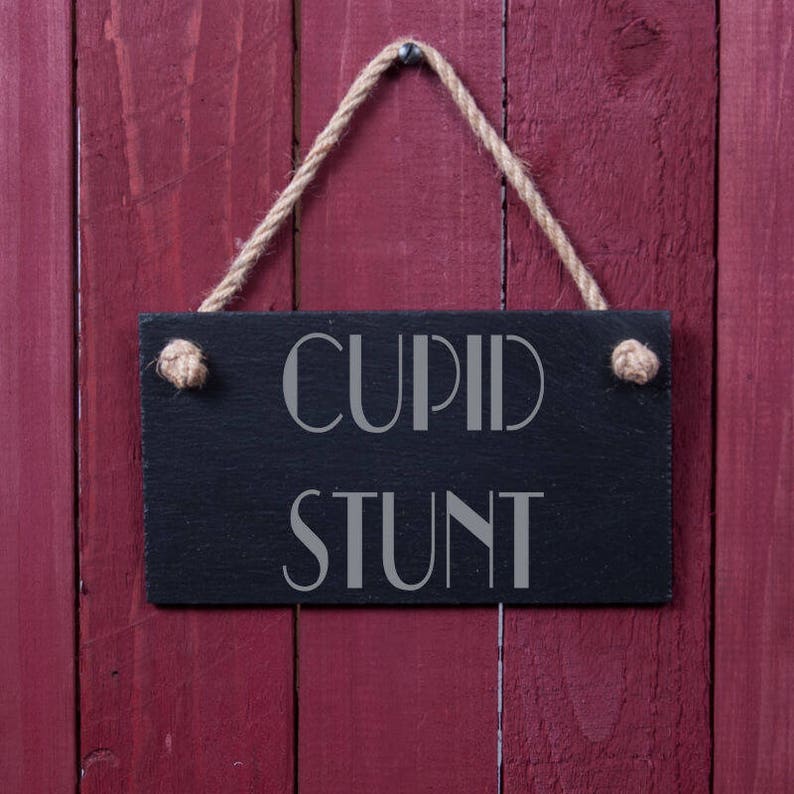Novelty Sign Cupid stunt Etsy