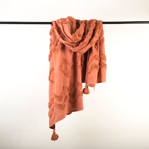 Puede incluir: Una manta de color terracota con un patrón geométrico y flecos. La manta está colgada sobre una barra negra.