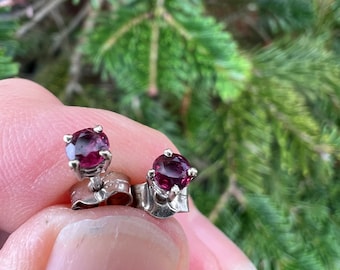 Ruby earstuds 18ct white gold