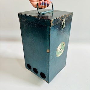 Coleman Lantern Case - Etsy Canada