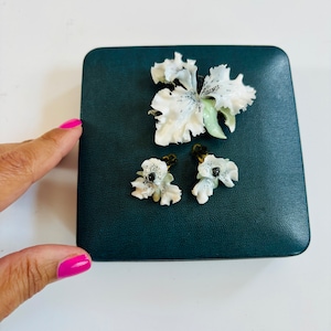 Royal Crown Derby Porzellan Orchideen Schmuck Set: 1930er Jahre Brosche & Ohrringe