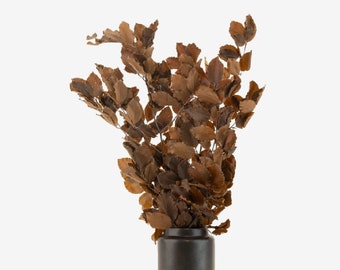 Bouquet of preserved beech mocha interior decoration floral composition preserved natural plants