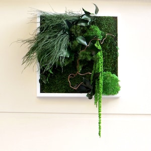 FANCY FRILLS Stabilized Plant Picture 30x30 cm – Elegant Plant Frame, Maintenance-Free, Ideal as a Gift or to Decorate Your Interior Walls
