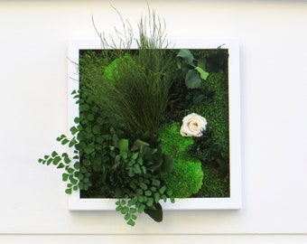 Charming Lady 30x30cm Preserved Plant Picture – Eternal Rose & Preserved Plants · Plant Frame · Chic Gift · Made in France