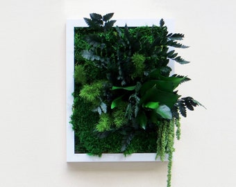 Tableau Végétal Stabilisé EMISPHERE 20x26cm – Format Cadeau · Plantes Stabilisées · Cadre Végétal · Made in France