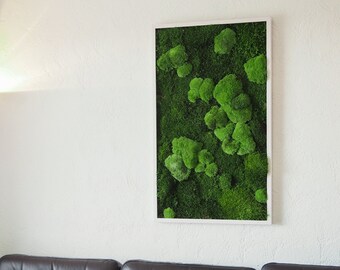 Stabilized Plant Art FEROAE – Mixture of Stabilized Natural Mosses, Various Sizes, Plant Art Made in France