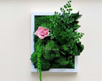 "PALADA" Preserved Plant Picture 20x26cm - Eternal Rose in Light, Home Decoration & Elegant Gift